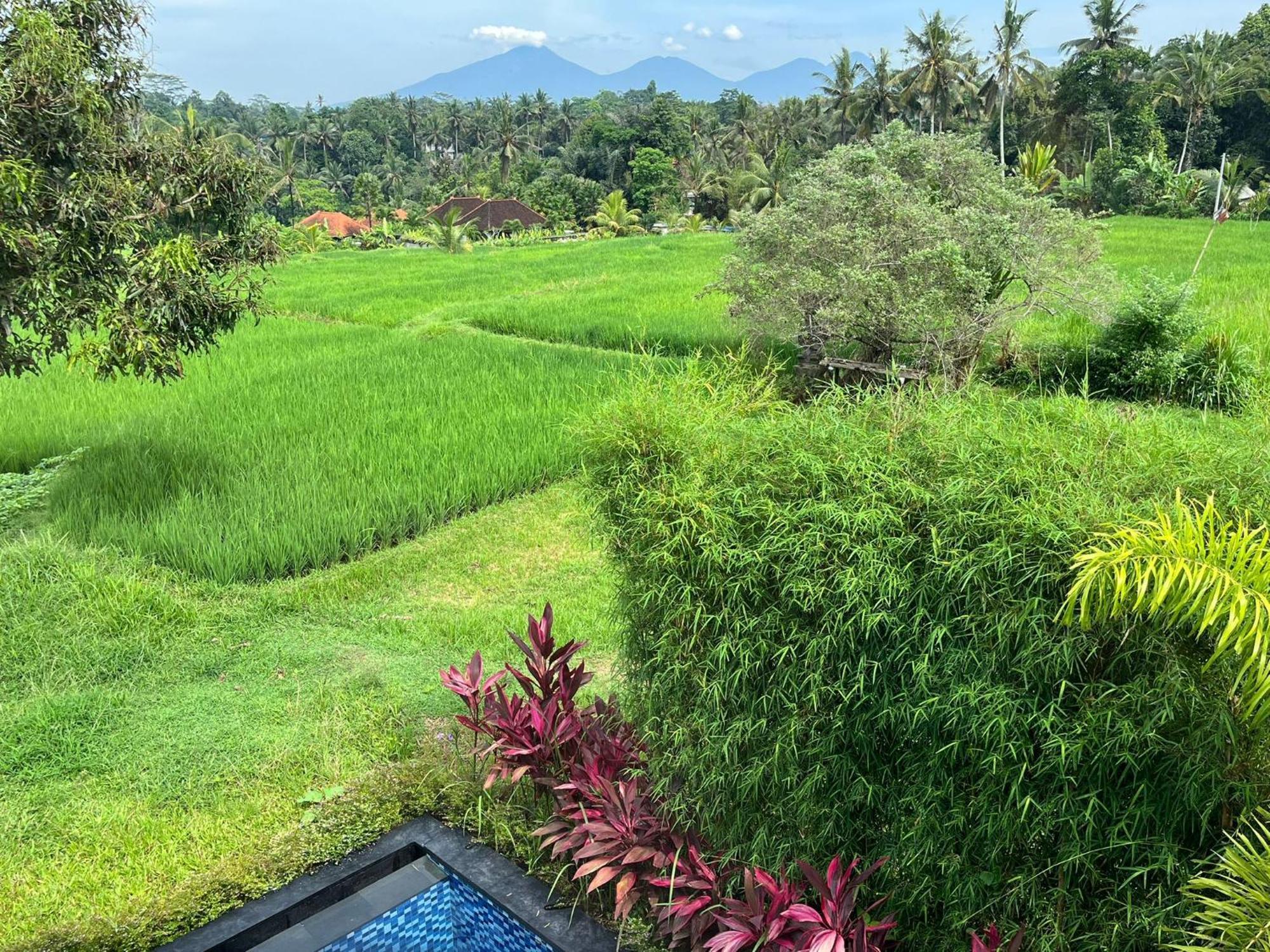 Maple Ridge Ubud Villas Exterior photo